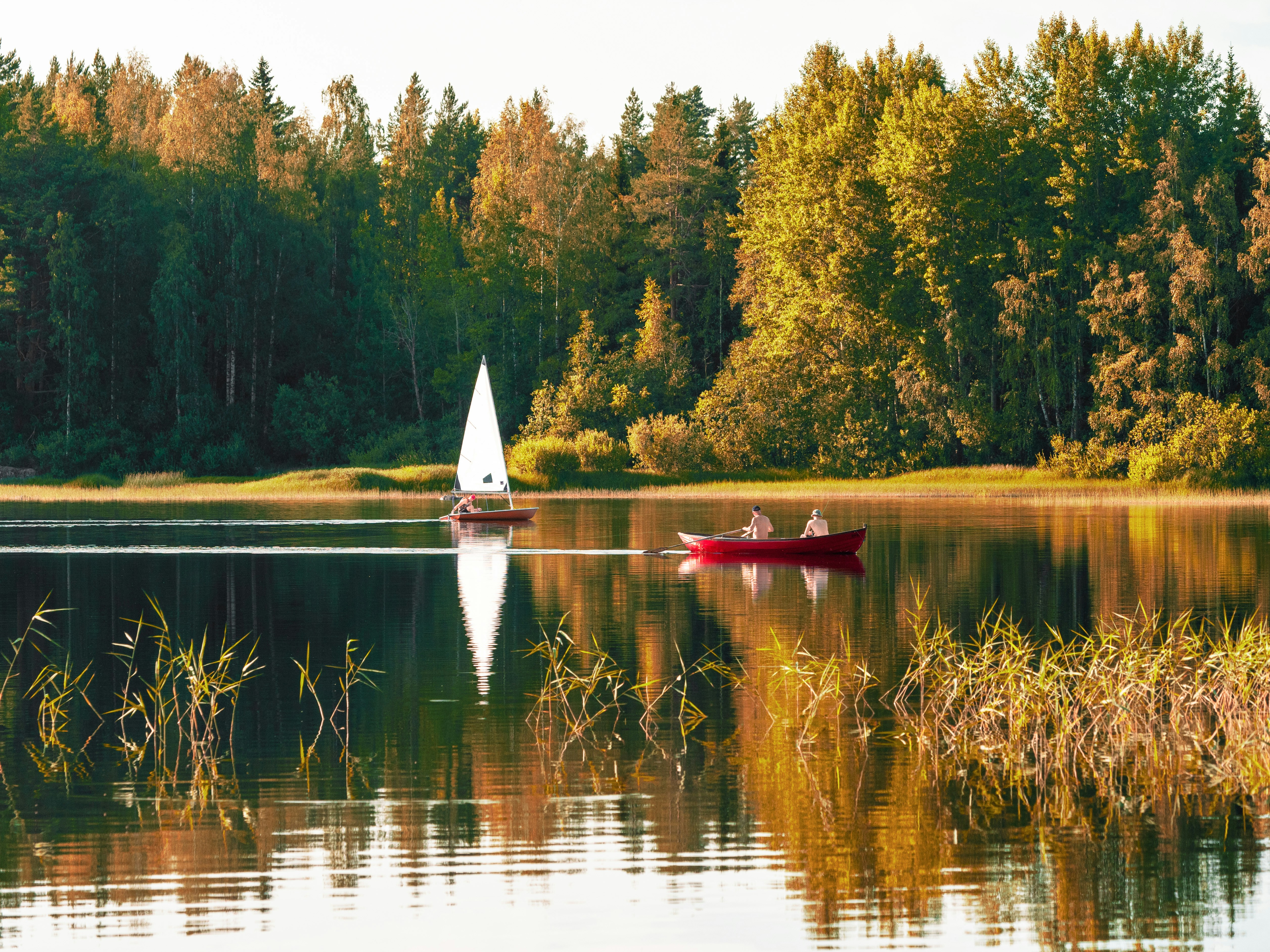 finland summer lakes